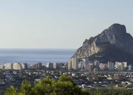 Aguila - Vila Calpe